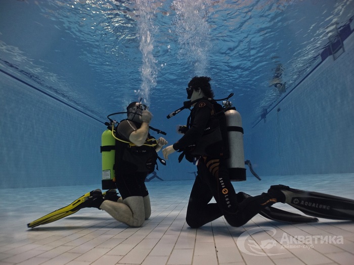 Курсы подводного плавания в Москве