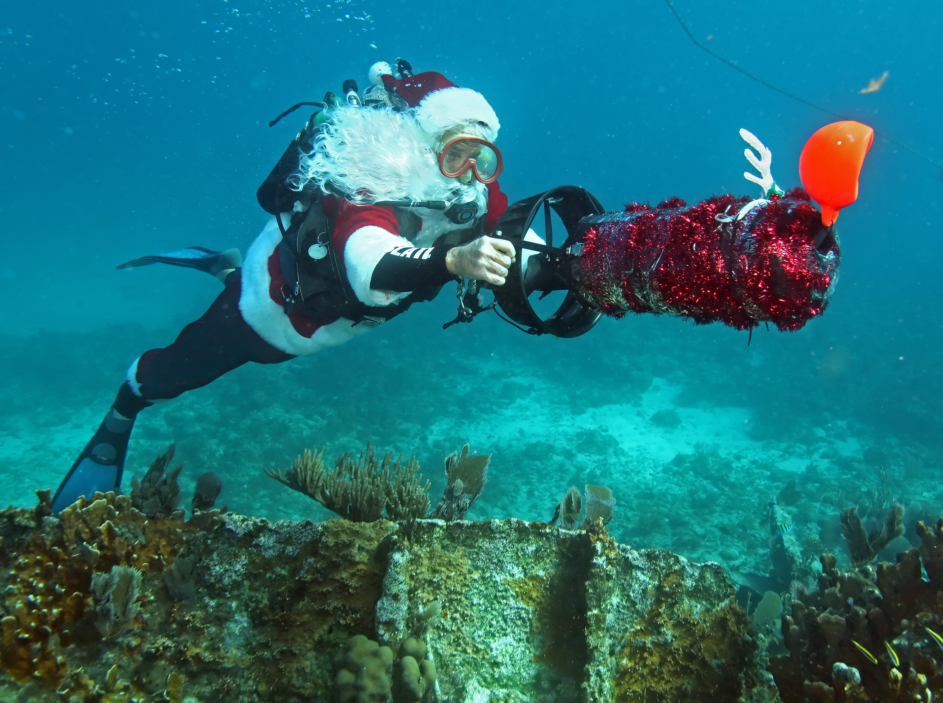 Санта Клаус поздравил с Рождеством обитателей подводного мира