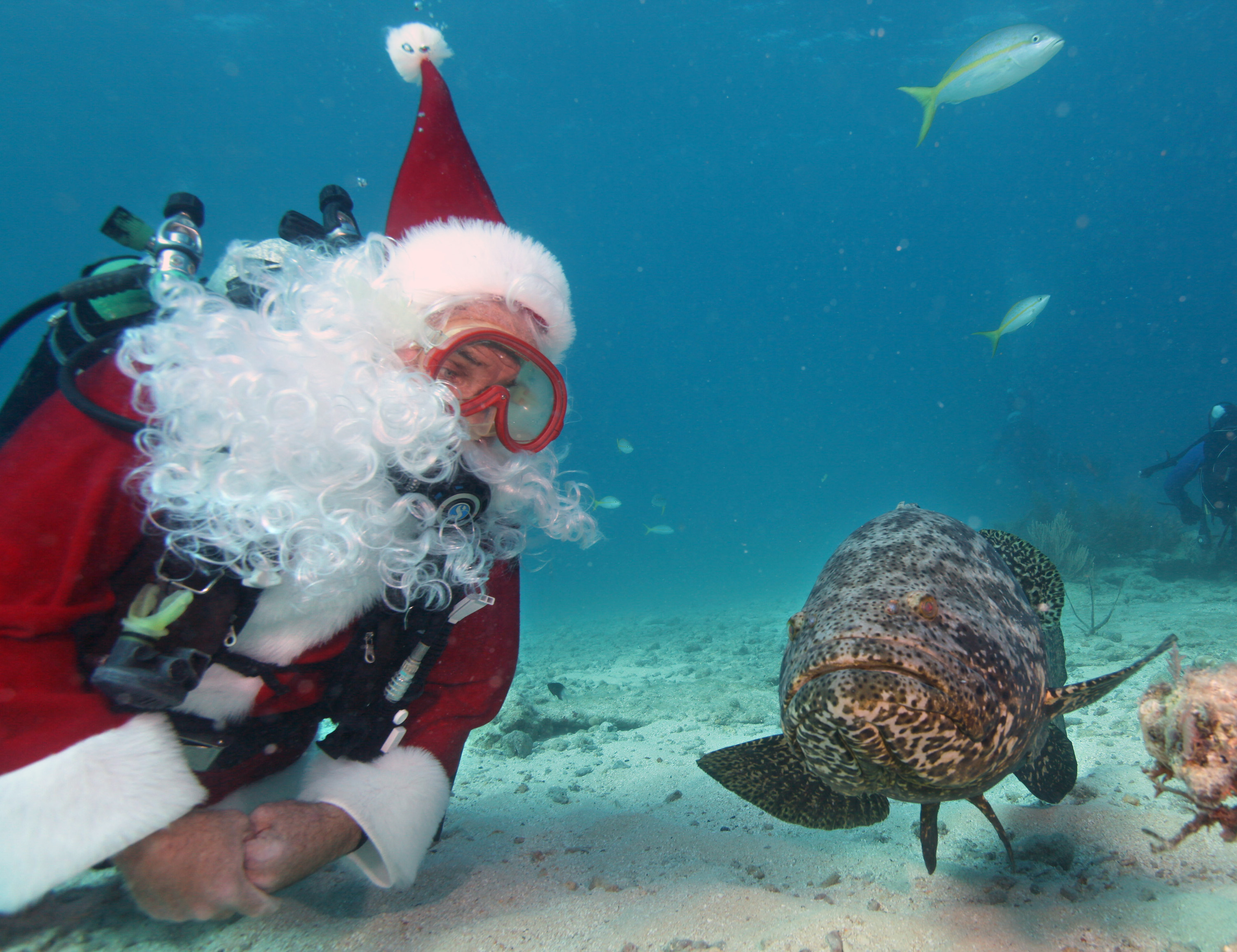 Санта Клаус поздравил с Рождеством обитателей подводного мира