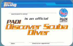 PADI Discover Scuba Diving (Пробное погружение)